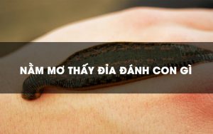 Nằm mơ thấy địa đánh con gì