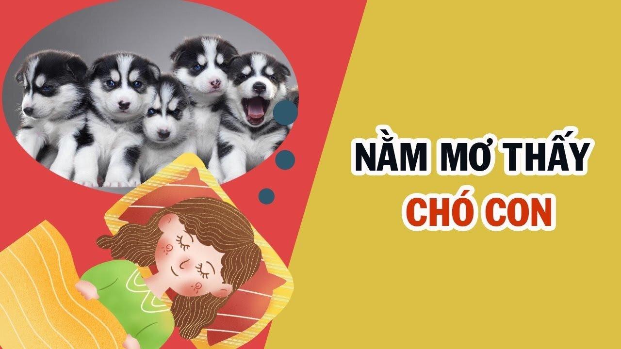 mơ thấy chó đánh con gì