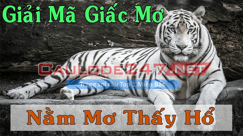 Giải mã giấc mơ về con hổ