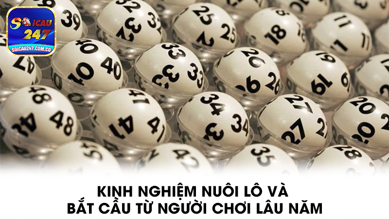 Soi cầu 247 – Chìa khóa thành công cho người chơi lô đề hiện đại